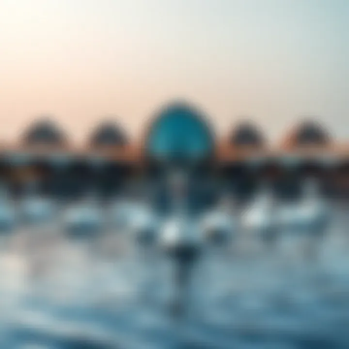 Magnificent Exploring the Allure of Swan Lake Dubai: A Comprehensive Guide