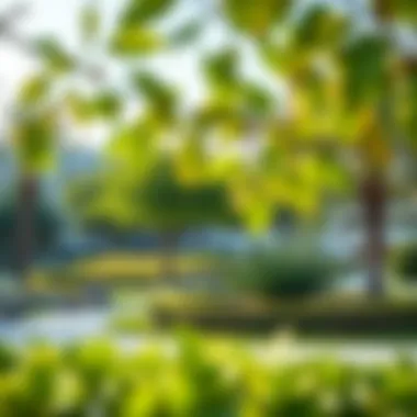 Community parks and recreational areas in Al Furjan West Pavilion