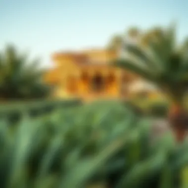 Diverse plant life and eco-friendly features in Al Safa Park