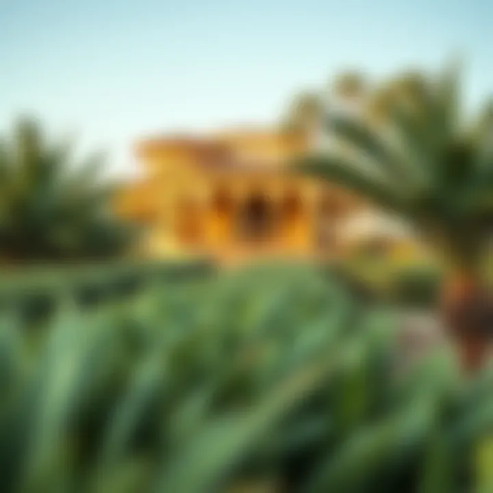 Diverse plant life and eco-friendly features in Al Safa Park