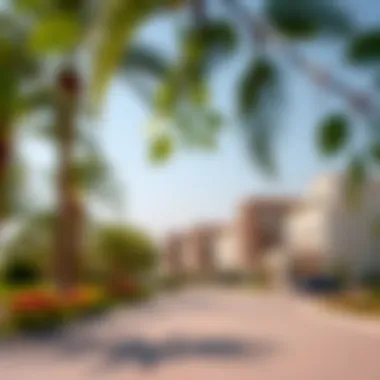 Local Amenities and Parks in Aroos Muhaisnah 4 Local amenities and parks in Aroos Muhaisnah 4