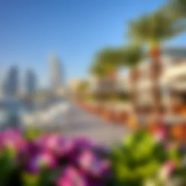 Vibrant lifestyle offerings including recreational areas and waterfront dining