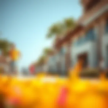 Community Lifestyle in Palm Views Vibrant community lifestyle at Palm Views with recreational activities