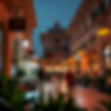 Cultural Vibrancy of Shalihaat Mabzara