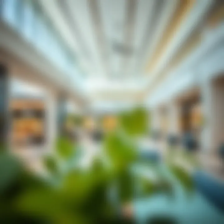 Interior design of a modern retail space within Dera City Center