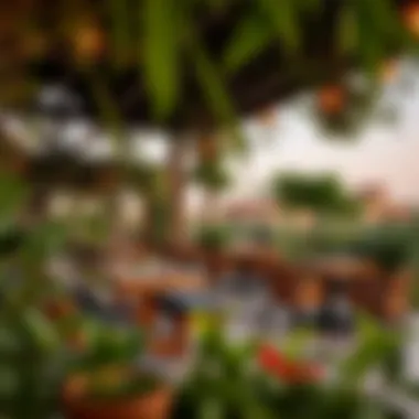 Outdoor Dining Ambiance A vibrant outdoor dining area with lush greenery