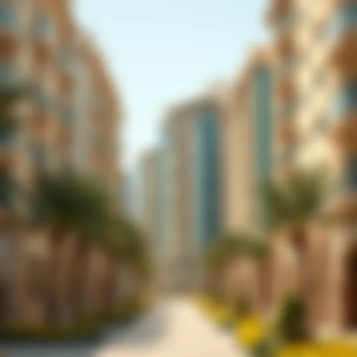 Architectural Features of Dubai International City Architectural details of residential buildings in Dubai International City