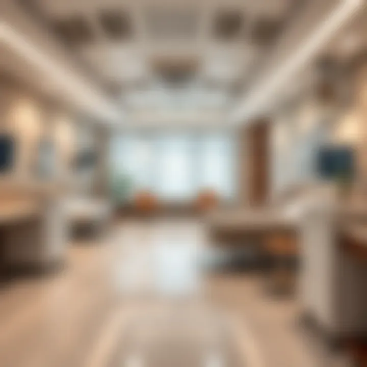 A serene patient room at Emirates Hospital emphasizing comfort and wellness