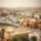 A panoramic view of Al Ain Town showcasing its unique architecture