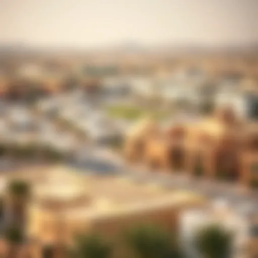A panoramic view of Al Ain Town showcasing its unique architecture