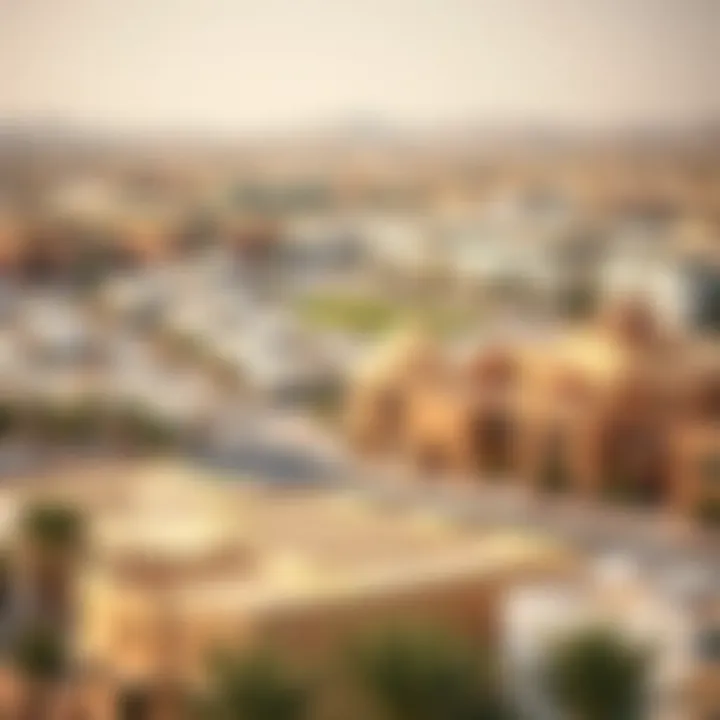 A panoramic view of Al Ain Town showcasing its unique architecture