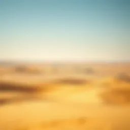A panoramic view of Al Dhafra's vast desert landscape