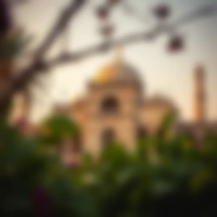 A historical landmark within مركز مدينة زايد illustrating its rich heritage
