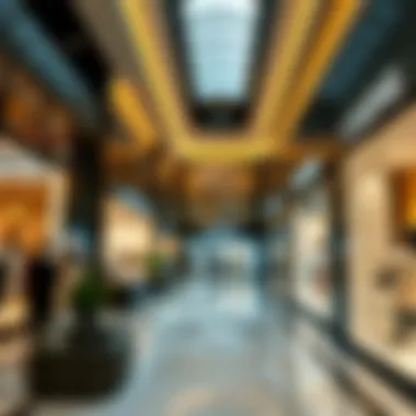 High-End Fashion at Dubai's Malls Luxurious retail spaces filled with high-end fashion brands in a Dubai mall