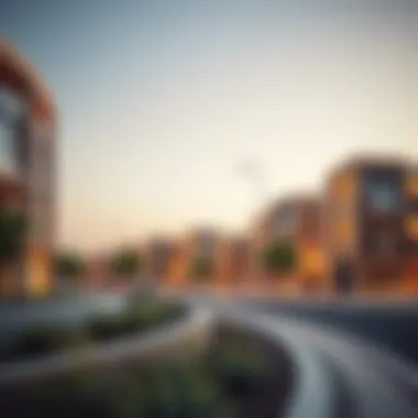 Modern real estate developments in Hatta Wadi Hub