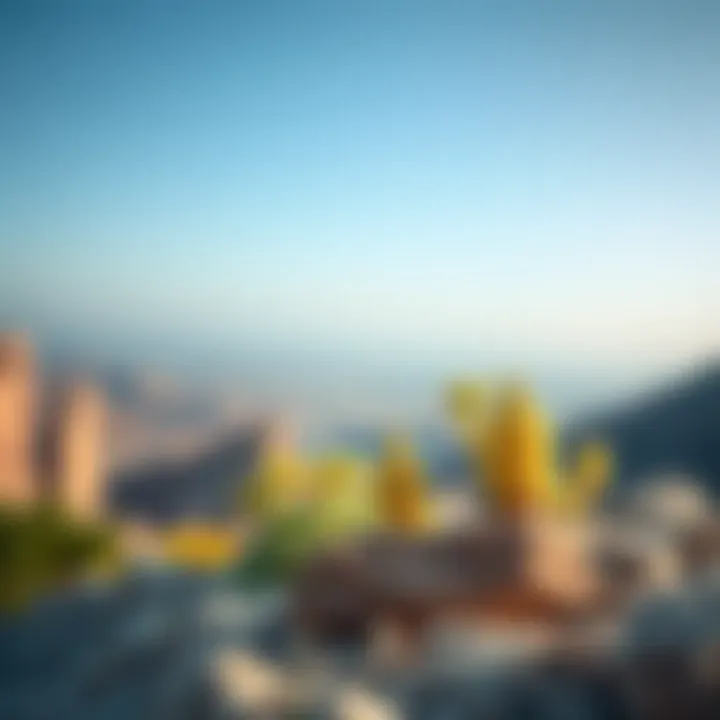 Ecological diversity showcasing flora of Jebel Jais