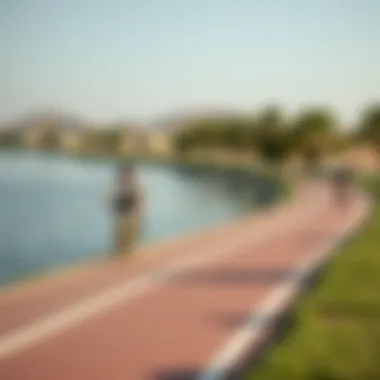 Recreational Activities at Lake Al Qudra Cyclists enjoying the scenic paths around Lake Al Qudra