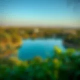 A serene view of Lake Al Qudra surrounded by lush greenery