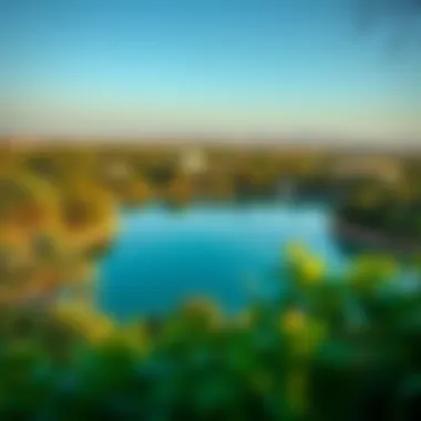 Serene Landscape of Lake Al Qudra A serene view of Lake Al Qudra surrounded by lush greenery