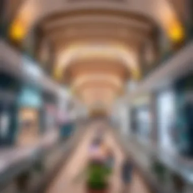 Interior of Lulu Central Mall filled with diverse retail options