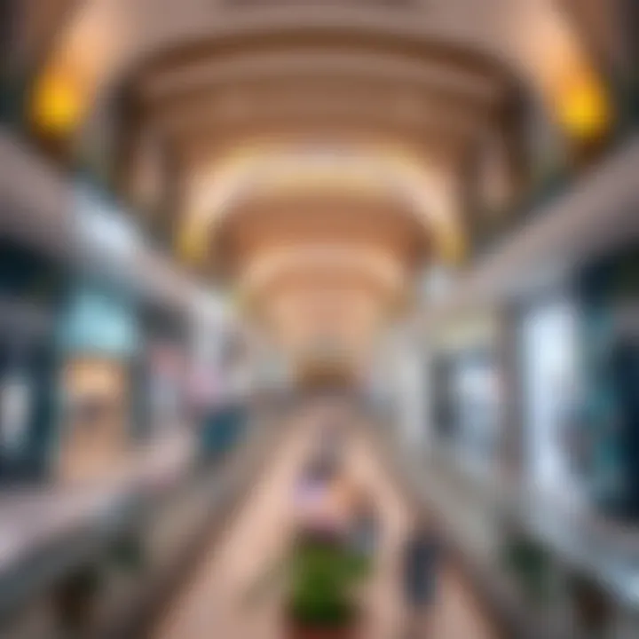 Interior of Lulu Central Mall filled with diverse retail options