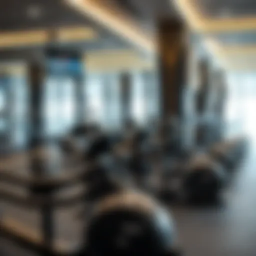 State-of-the-art gym equipment at Marina Mall Gym