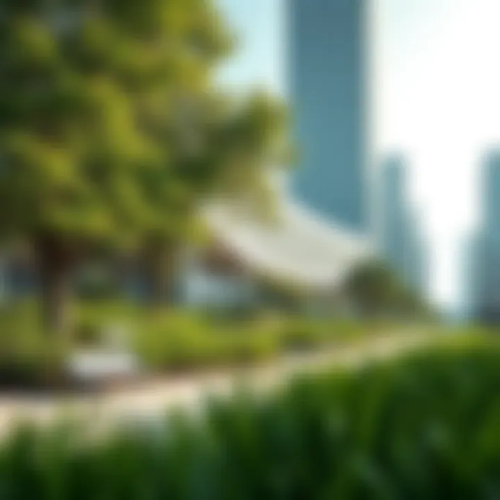 Green spaces and sustainability features within Mohamed Bin Rashid City