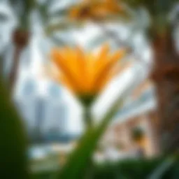 Exploring Palm Flower in Dubai's Real Estate Landscape Introduction