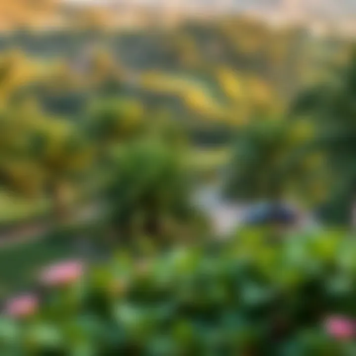 Lush Greenery of Dubai Hills Park Lush greenery of Dubai Hills Park