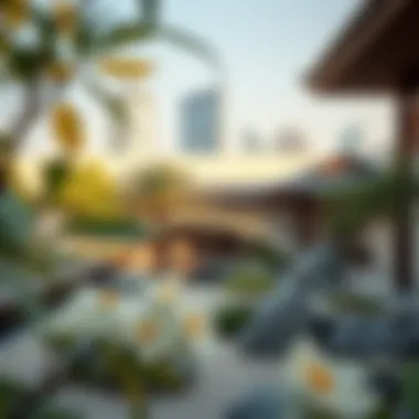 Zen garden in Dubai providing calm atmosphere