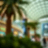 Exploring Prime Reef Mall: A Nexus of Retail and Lifestyle in Dubai Introduction