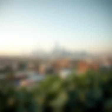 Panoramic View of Rasal Khema A panoramic view of Rasal Khema showcasing its unique skyline