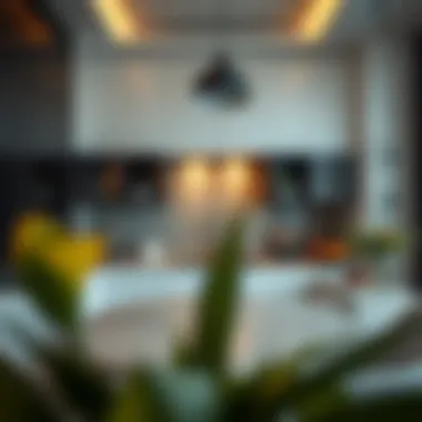 Modern Kitchen Design in Al Mirdif Apartment Modern kitchen design in Al Mirdif apartment