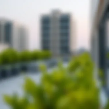 Modern Amenities in Rental Properties Modern amenities featured in rental properties near Burjuman