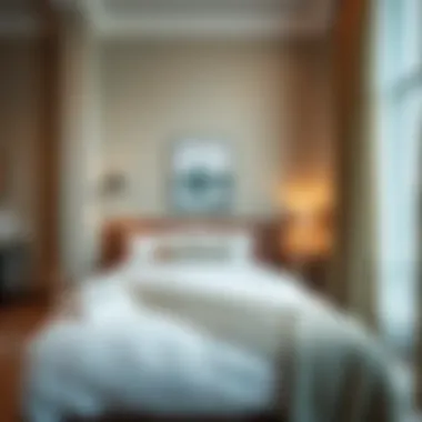 Charming Studio Room Interior Charming studio room interior showcasing modern decor