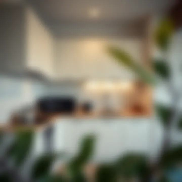 Stylish studio kitchen equipped with contemporary appliances