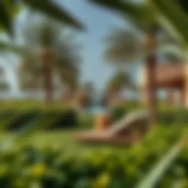 A lush green oasis providing respite from the summer sun