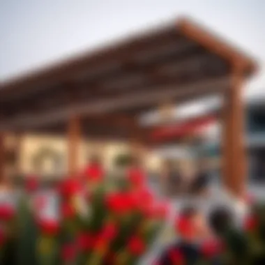 Recreational Spaces in Juzur Al Hob Vibrant recreational spaces in Juzur Al Hob, highlighting lifestyle and leisure activities