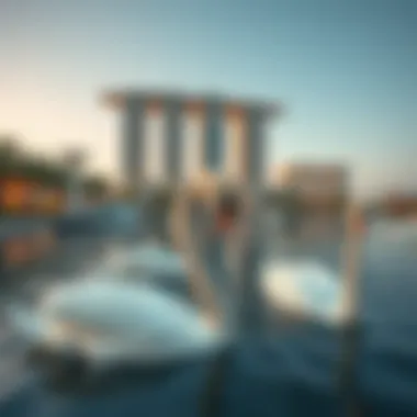 Exploring the Allure of Swan Lake Dubai: A Comprehensive Guide Summary Exploring the Allure of Swan Lake Dubai: A Comprehensive Guide Summary