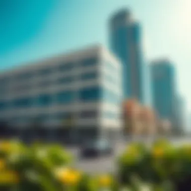 Exploring the Dynamics of Free Parking in Dubai Today Summary