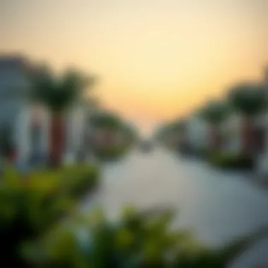Community Lifestyle in Al Dira Community lifestyle elements contributing to Al Dira's appeal