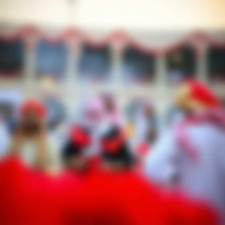 Cultural Celebration in Meydan Cultural event taking place in Meydan, showcasing local traditions