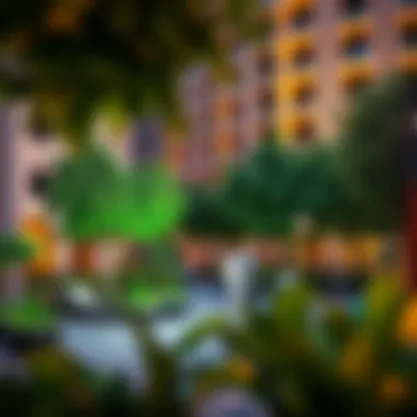 Community spaces surrounding the Zarooni Building