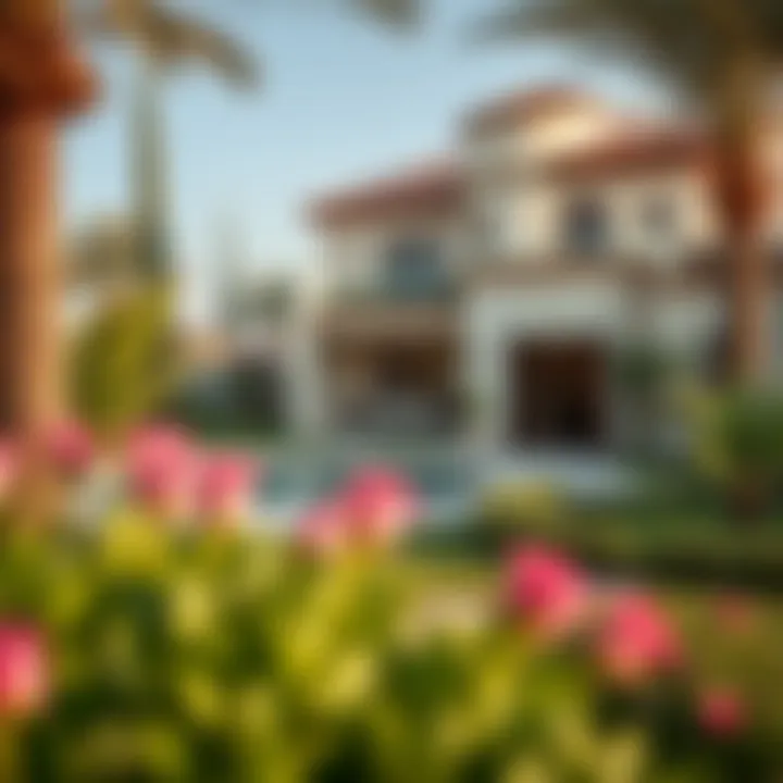 Beautiful garden area surrounding a rental villa