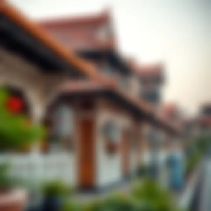 A close-up of diverse cultural pavilions within Global Village