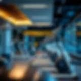 Modern fitness equipment at GymNation