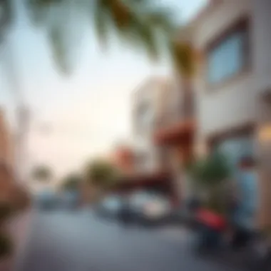 Community Living in Dubai Vibrant community life in a Dubai neighborhood