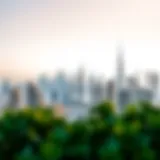 Dubai's Iconic Skyline Stunning skyline of Dubai showcasing luxury properties