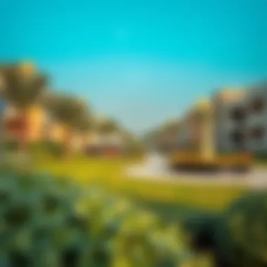 Outdoor Lifestyle in Jebel Ali A scenic park in Jebel Ali, highlighting the outdoor lifestyle options available for residents