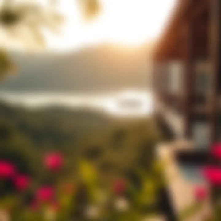 Scenic view of the surroundings highlighting the natural beauty